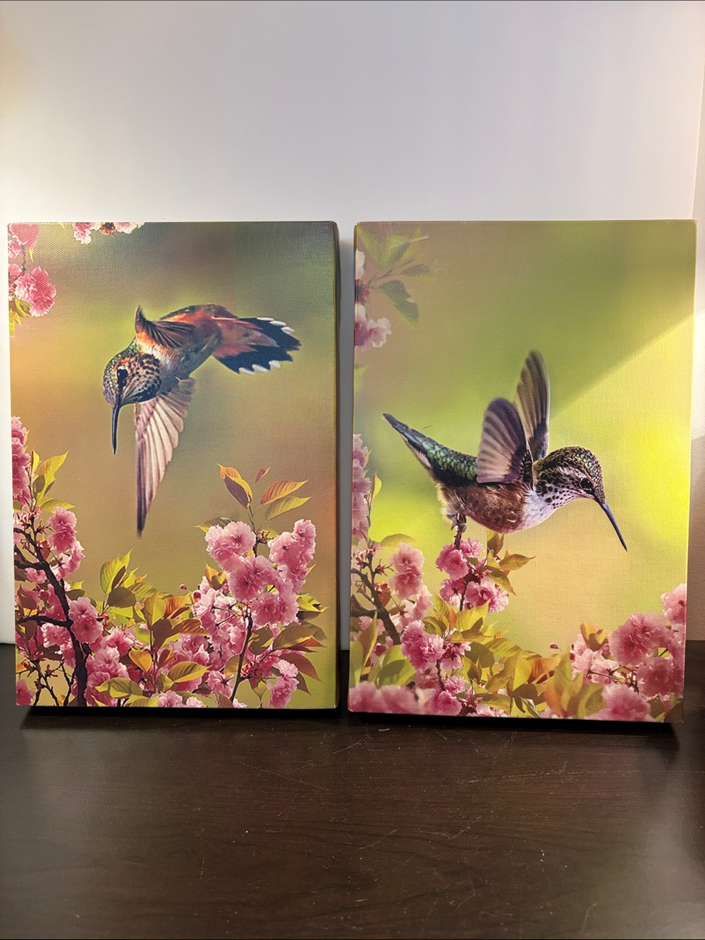 Hummingbird Floral Canvas Wall Art Set - Pink & Green